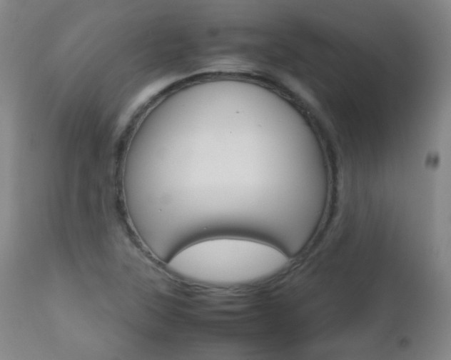 X0000112771315200908201341