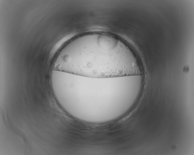 X0000112771317200908201341