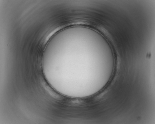 X0000112771321200908201341