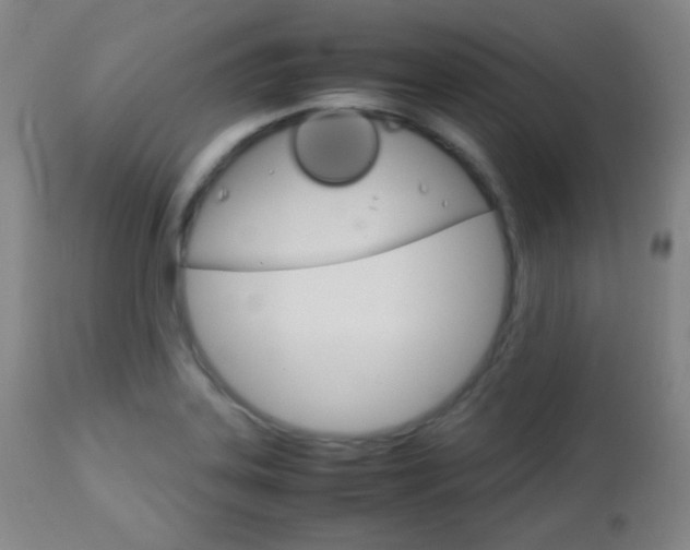 X0000112771323200908201341