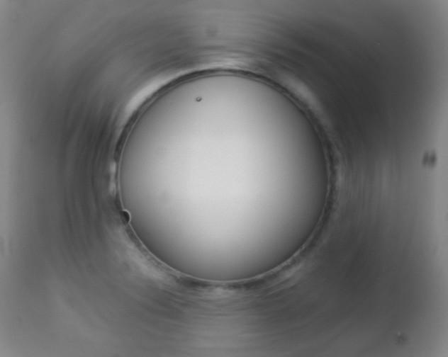 X0000112771324200908201341