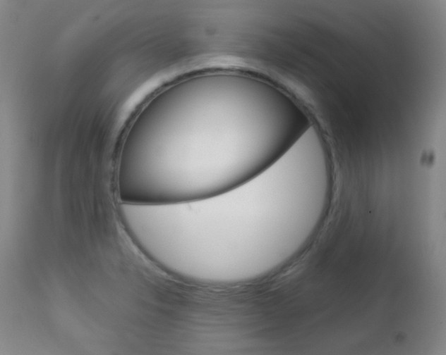 X0000112771326200908201341