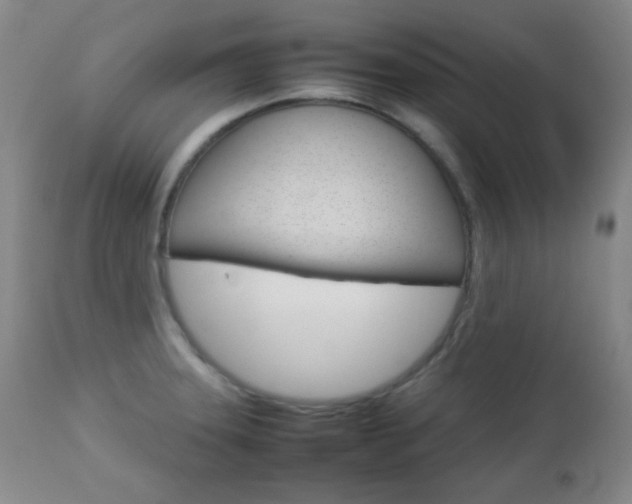 X0000112771331200908201341