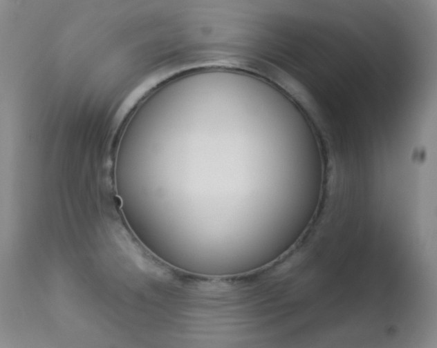X0000112771332200908201341