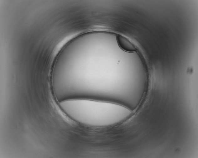 X0000112771333200908201341