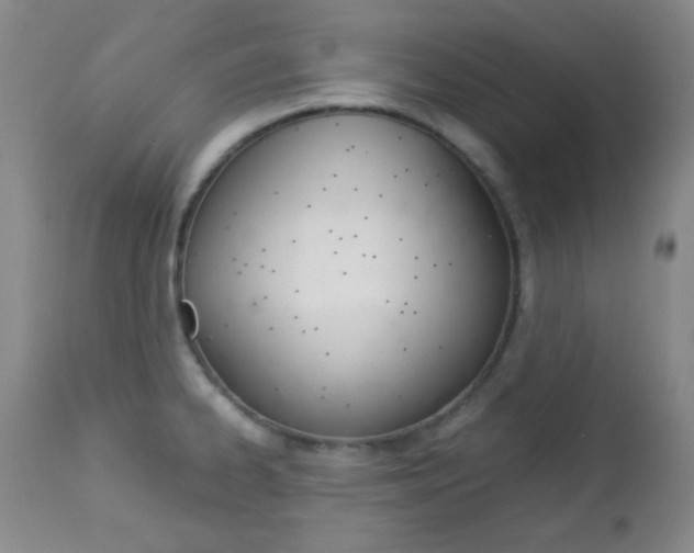 X0000112771334200908201341