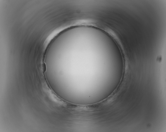 X0000112771336200908201341