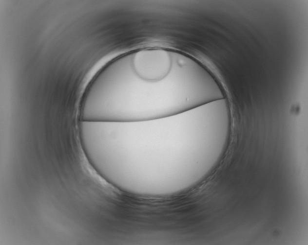 X0000112771339200908201341