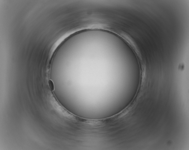 X0000112771340200908201341