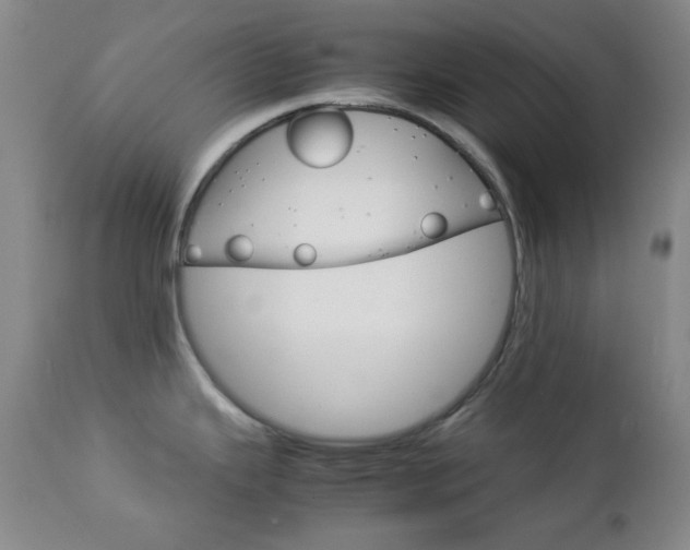 X0000112771343200908201341