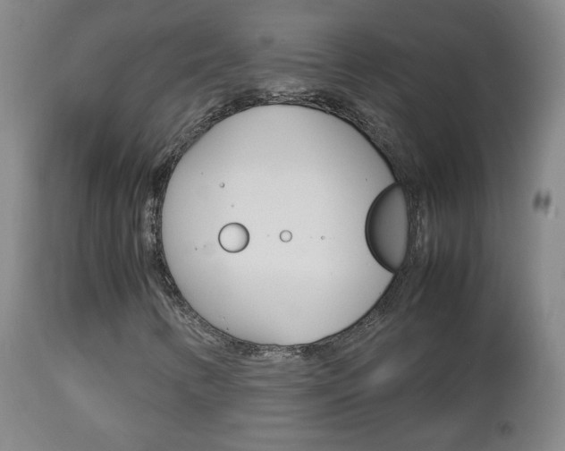 X0000112771346200908201340