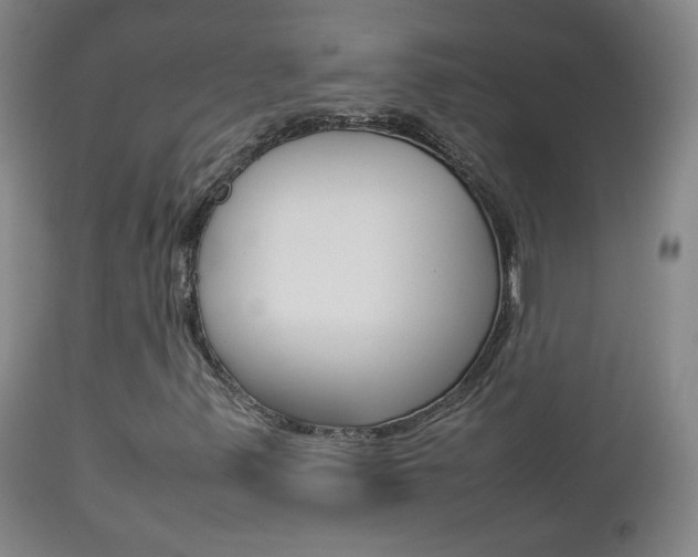 X0000112771347200908201340