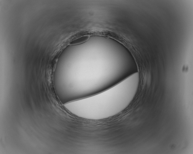 X0000112771348200908201340