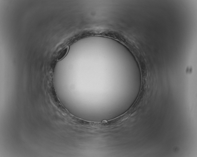 X0000112771349200908201340