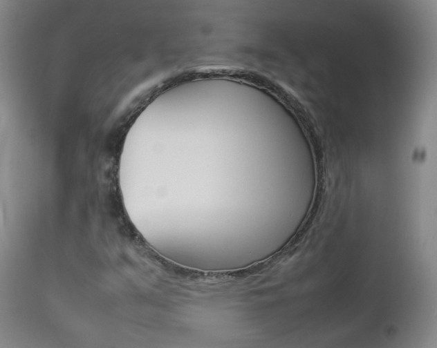 X0000112771351200908201340