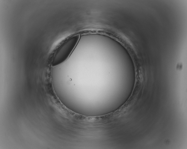 X0000112771352200908201340