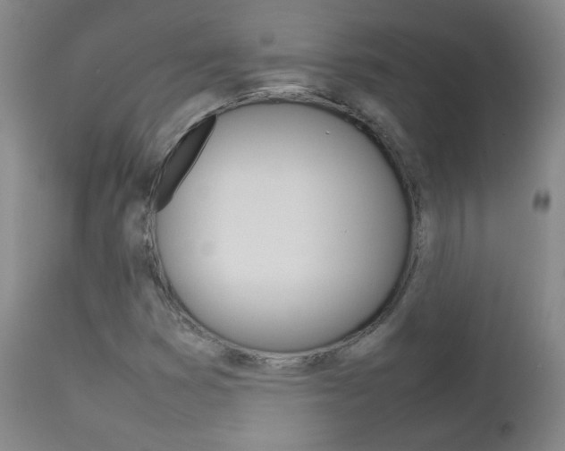 X0000112771353200908201340