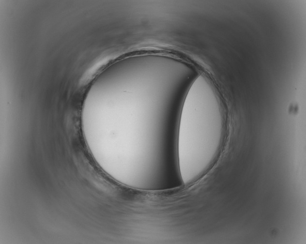 X0000112771355200908201340