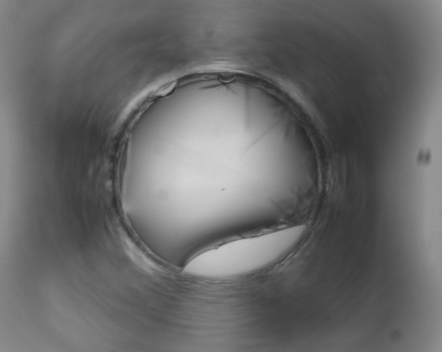 X0000112771356200908201340