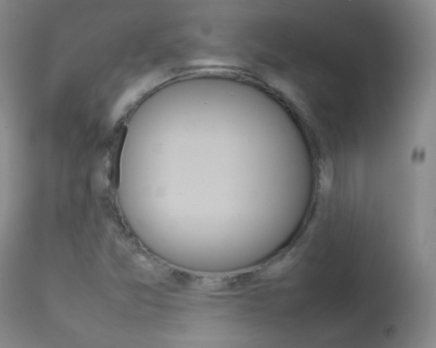 X0000112771357200908201340