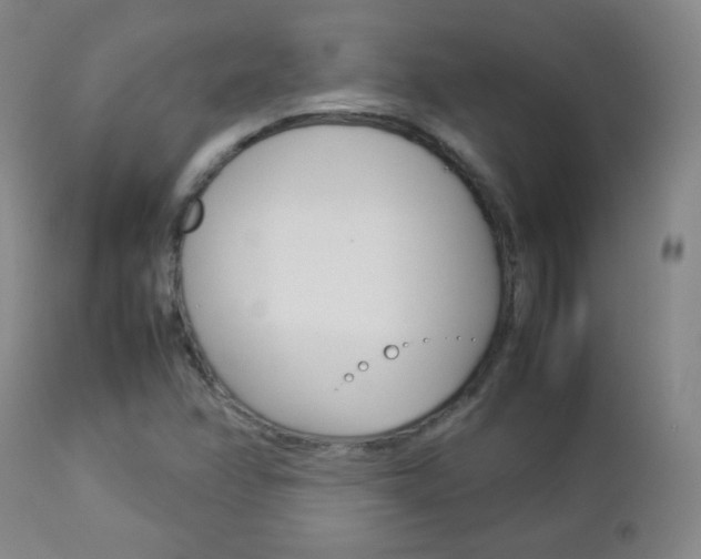 X0000112771358200908201340