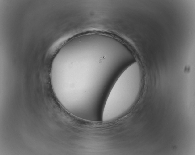 X0000112771359200908201340