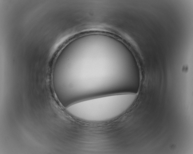 X0000112771360200908201340