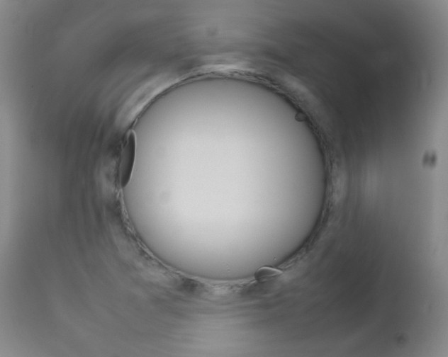 X0000112771361200908201340