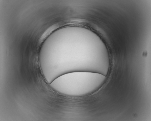 X0000112771362200908201340