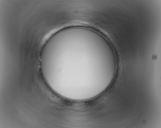 X0000112771363200908201340
