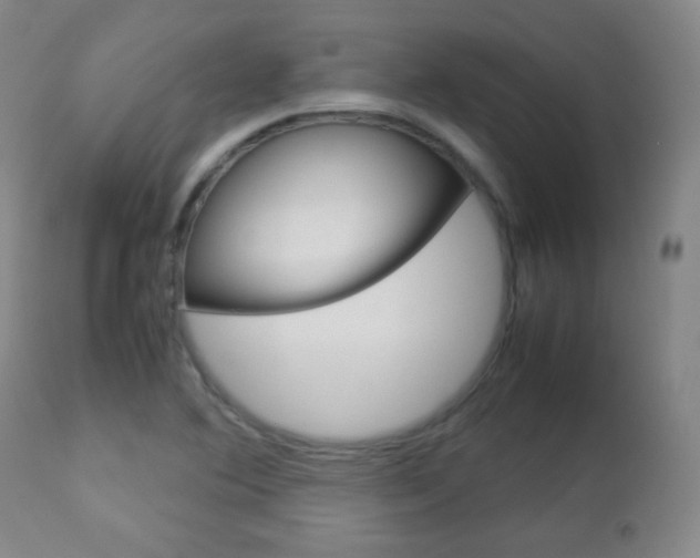 X0000112771364200908201340
