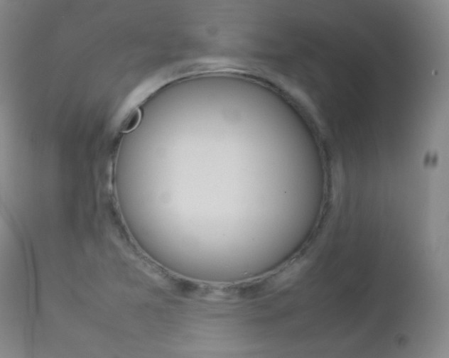 X0000112771365200908201340
