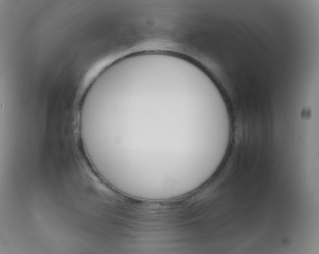 X0000112771366200908201340