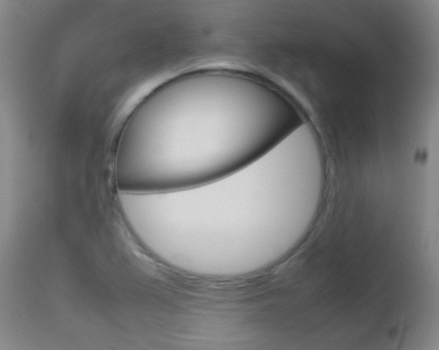 X0000112771367200908201340