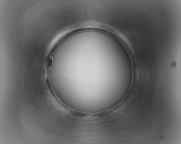 X0000112771368200908201340