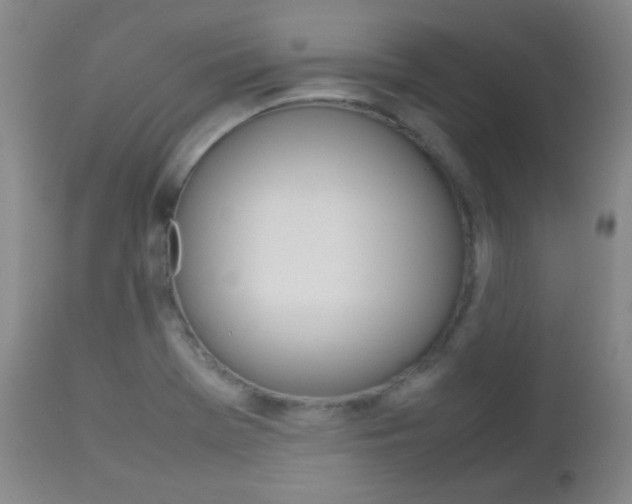 X0000112771369200908201340