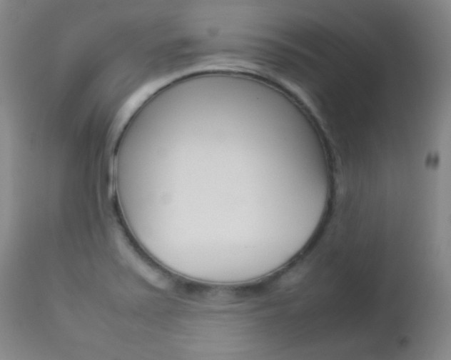 X0000112771371200908201340