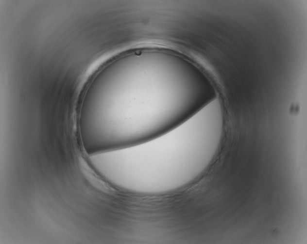 X0000112771372200908201340