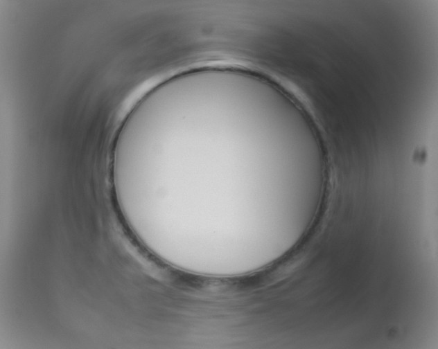X0000112771375200908201340