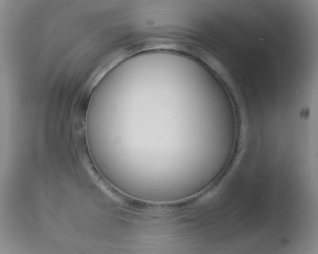 X0000112771377200908201340