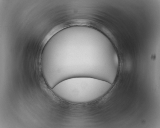 X0000112771378200908201340