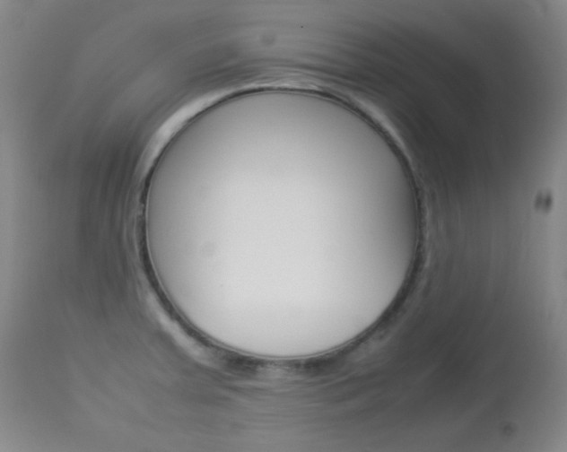 X0000112771379200908201340