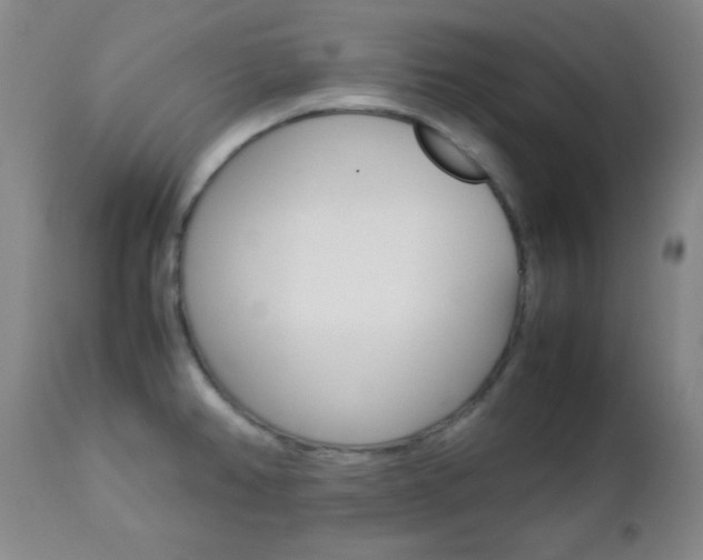 X0000112771382200908201340