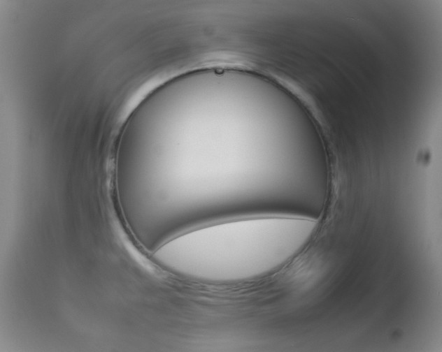 X0000112771383200908201340