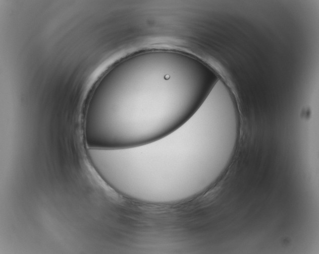 X0000112771384200908201340