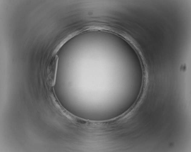 X0000112771385200908201340