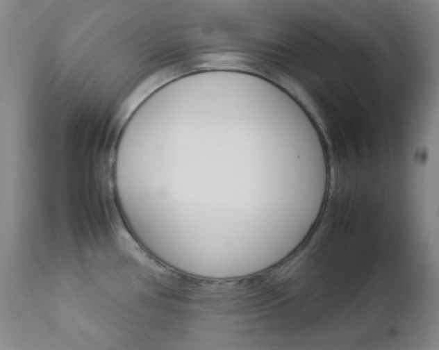 X0000112771386200908201340