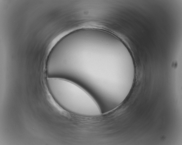 X0000112771387200908201340
