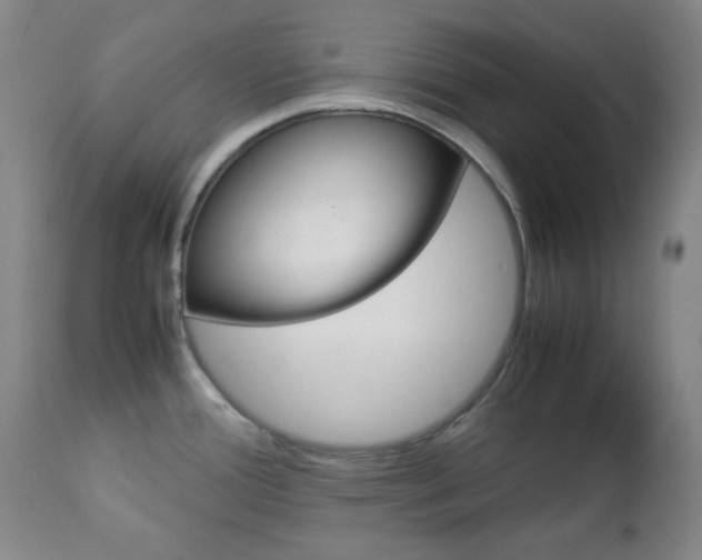 X0000112771388200908201340