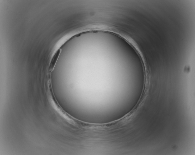 X0000112771389200908201340
